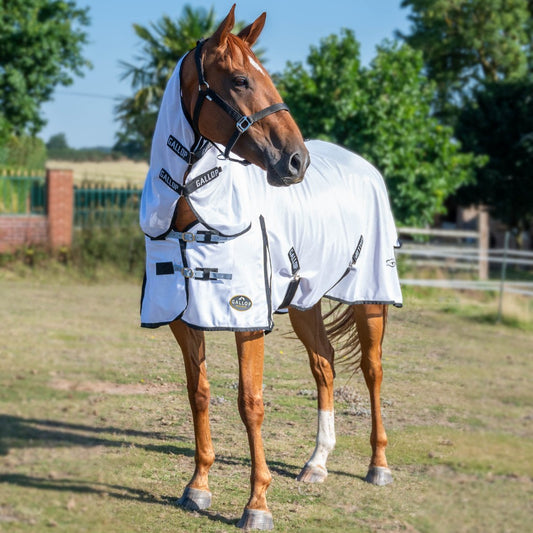 Gallop Fly Rug