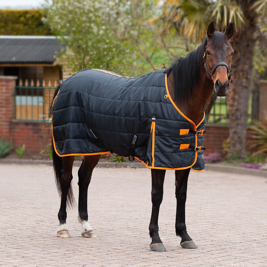TROJAN 100g Stable Rug