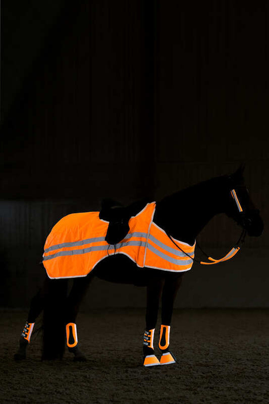 Horze Hiviz Ride on Rug