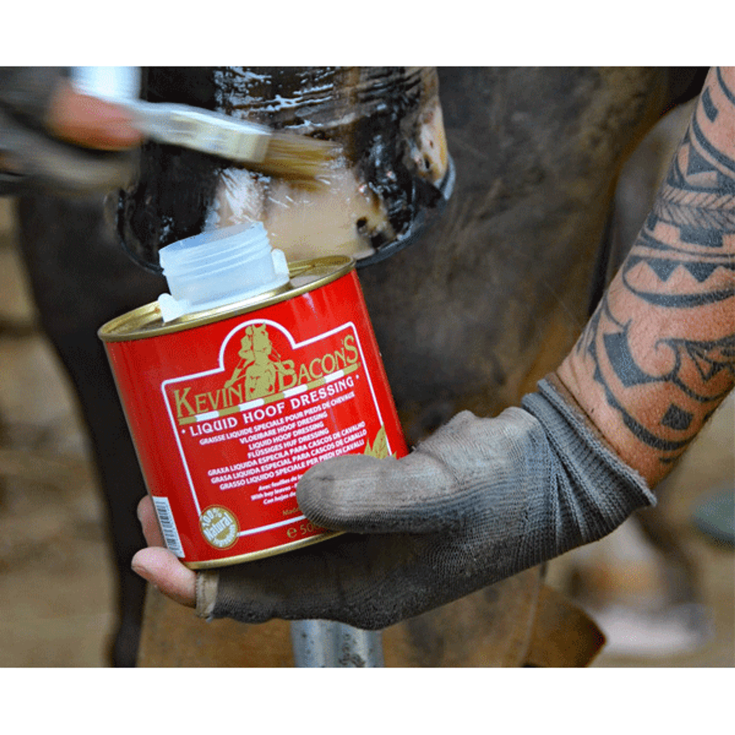 Kevin Bacon Liquid Dressing