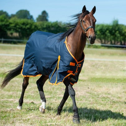 Trojan 100g Navy/Orange Turnout Rug 600D
