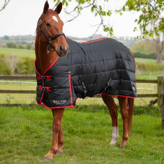 Trojan 200g Stable Rug