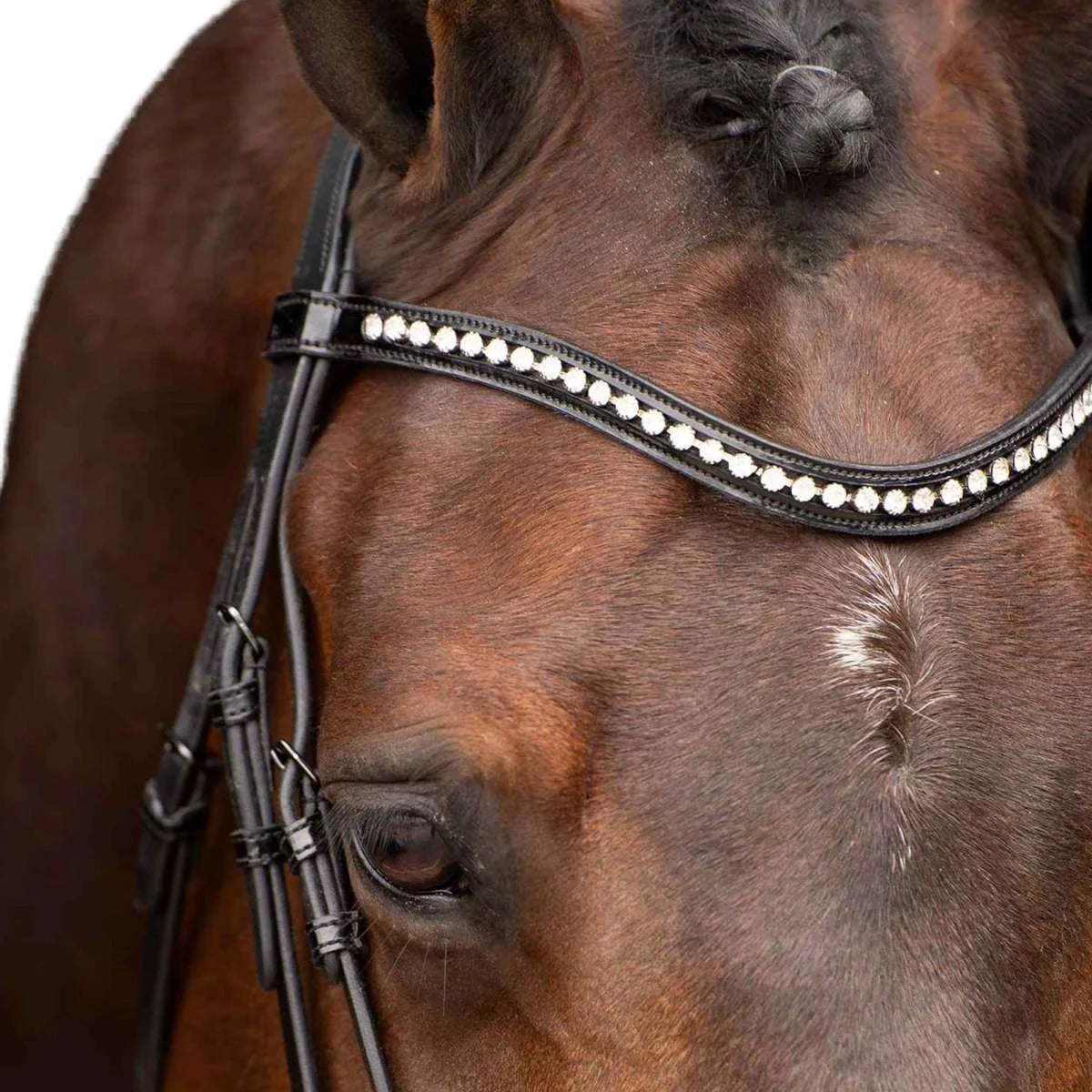 Imperial Riding Athena Bridle