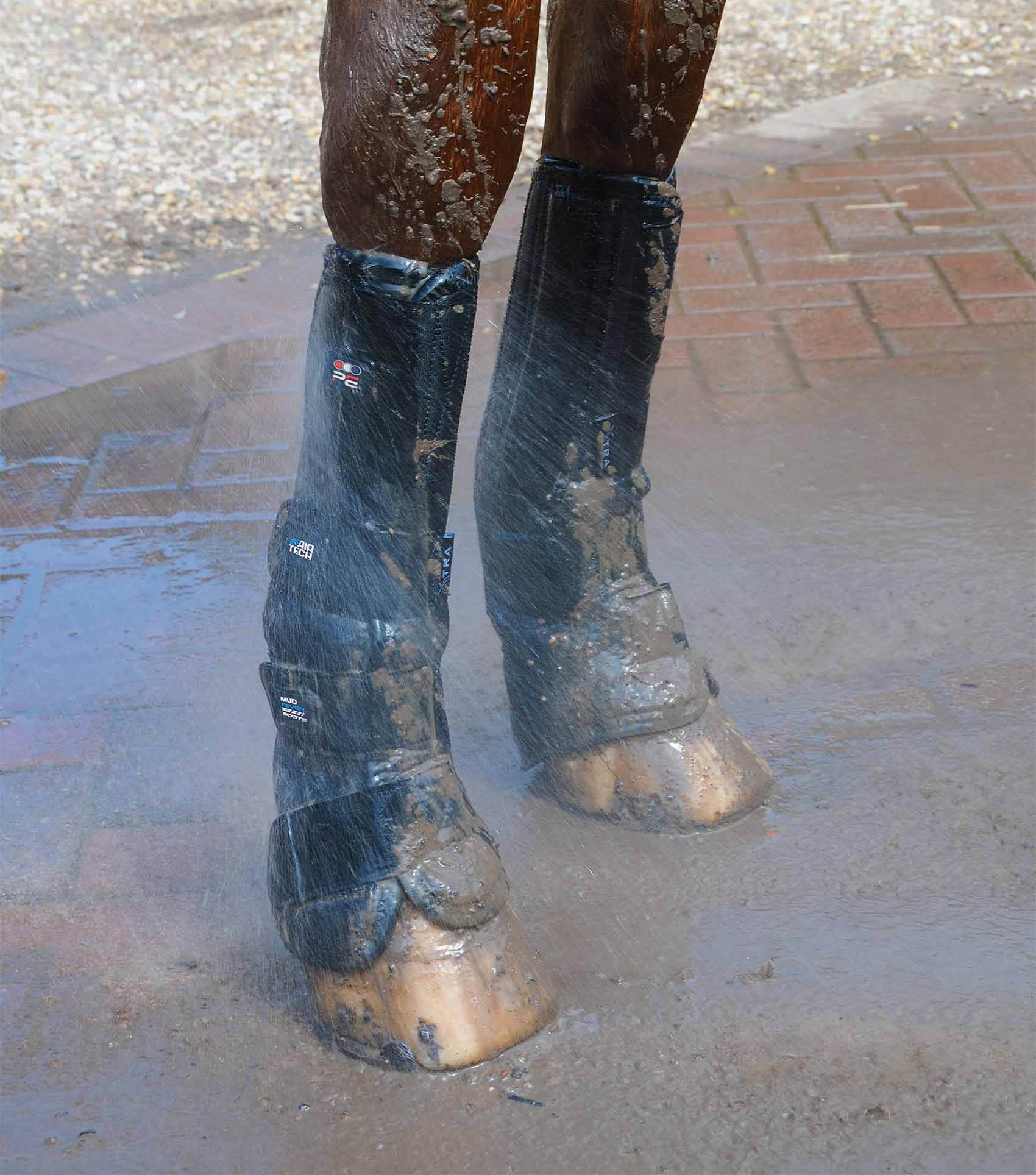 Premier Equine Mud Fever Boots