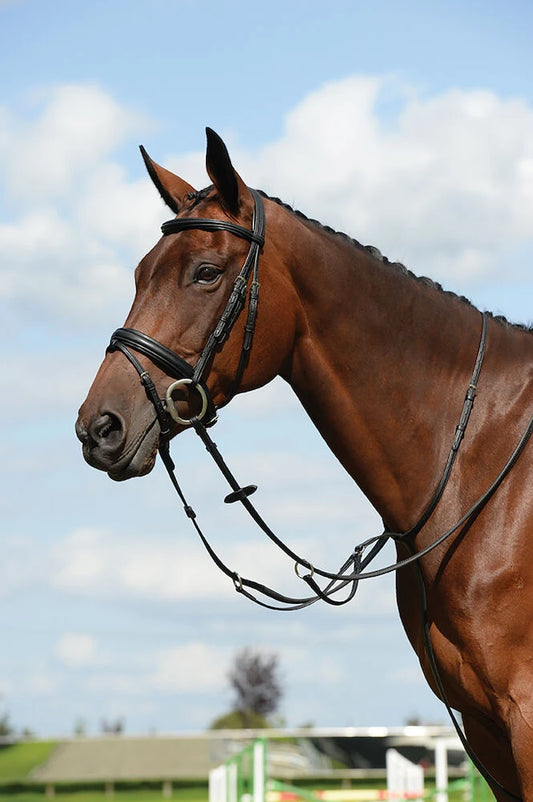Collegiate syntovia flat running martingale