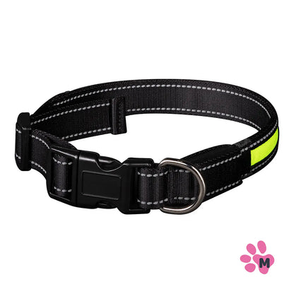 Waggs & Purrs Rechargeable LED Collar