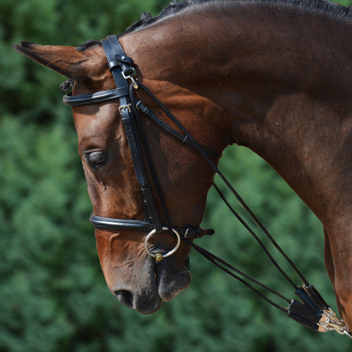 HY Equestrian Draw Reins