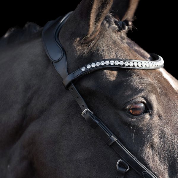 HV Polo Legacy Anatomical deluxe Bridle