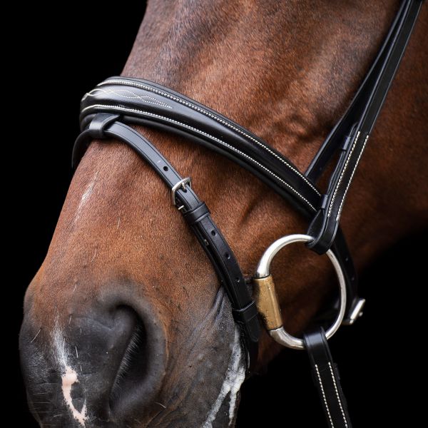 HV Polo Legacy Bridle