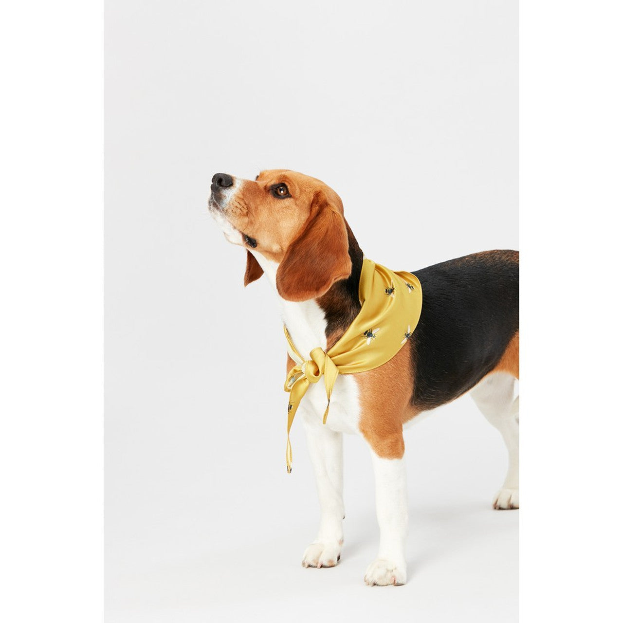 Joules Bumble Bee NeckerChief - Canine