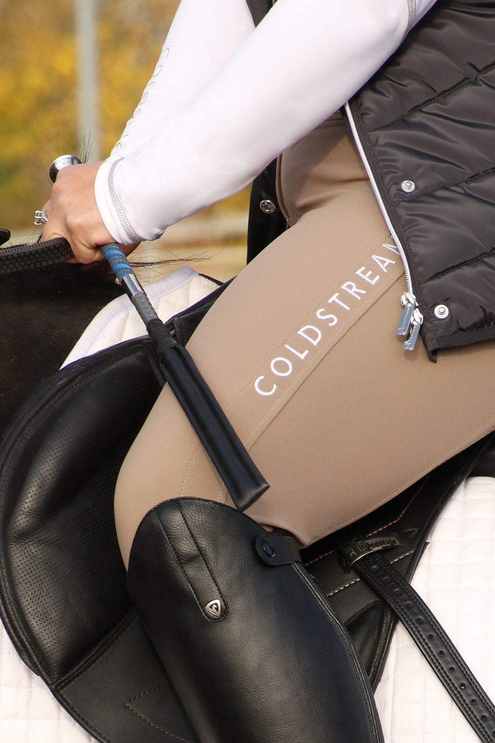 Coldstream Hadden whip