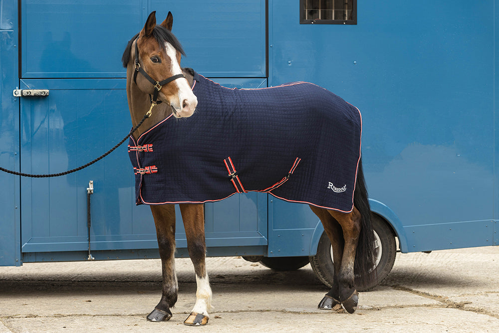 Rhinegold Premium Tech ‘Celltex’ Cooler Rug