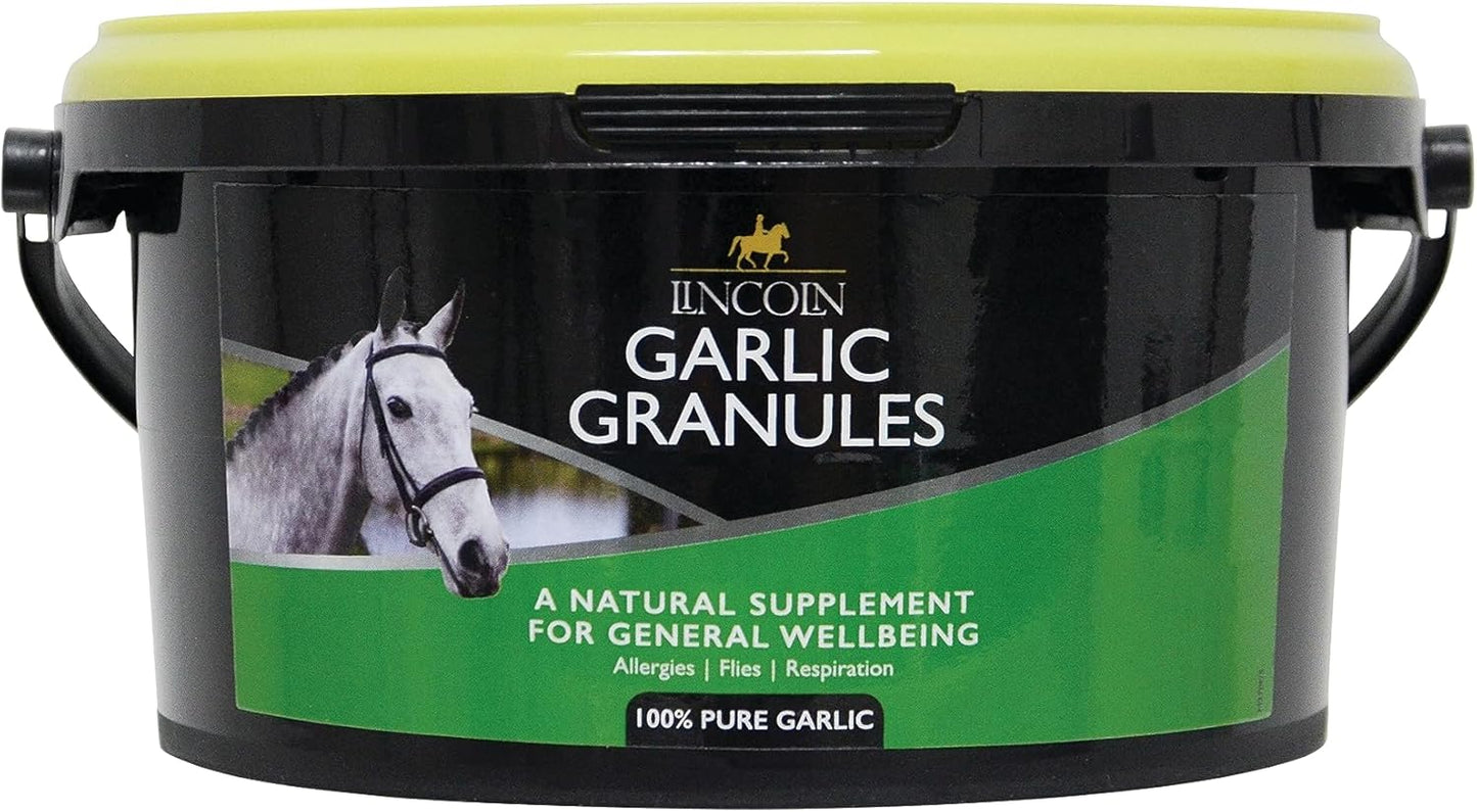 Lincoln Garlic Powder