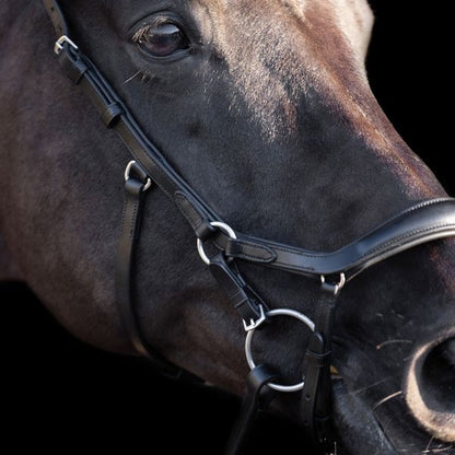 HV Polo Legacy Anatomical deluxe Bridle