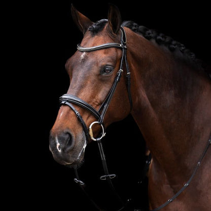 HV Polo Legacy Bridle