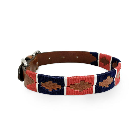 KM Elite Argentinian Dog Collar