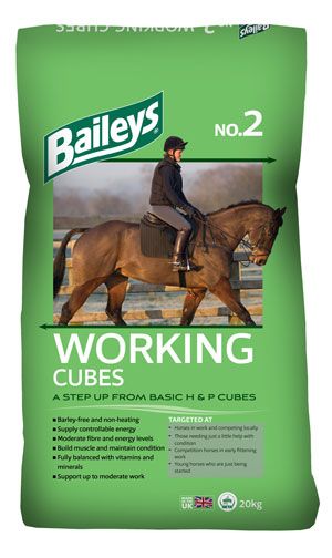 Baileys No 2 Working Cubes 20kgs