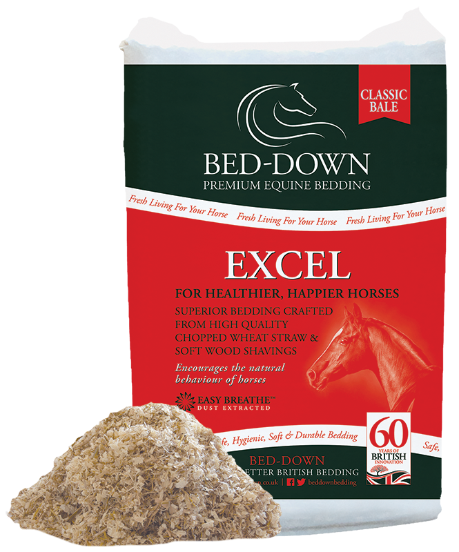 Beddown Excel