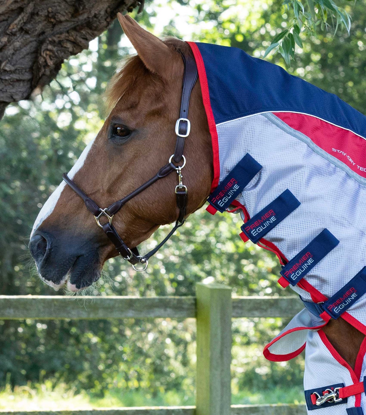 Buster Stay-Dry Super Lite Fly Rug with Surcingles