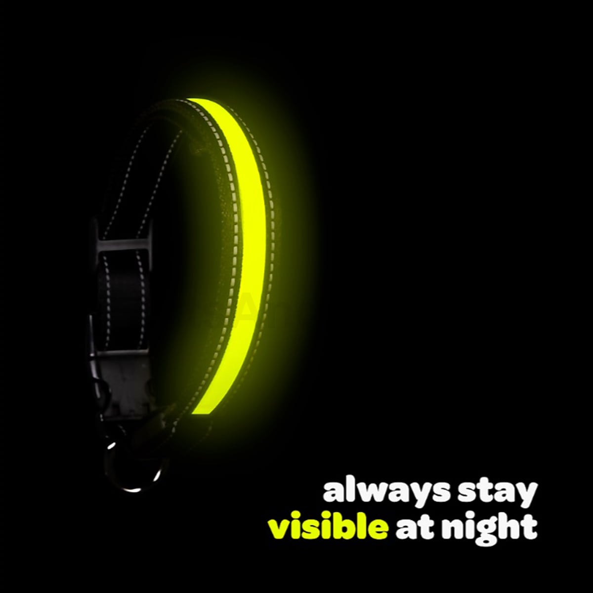 Waggs & Purrs Rechargable LED Collar