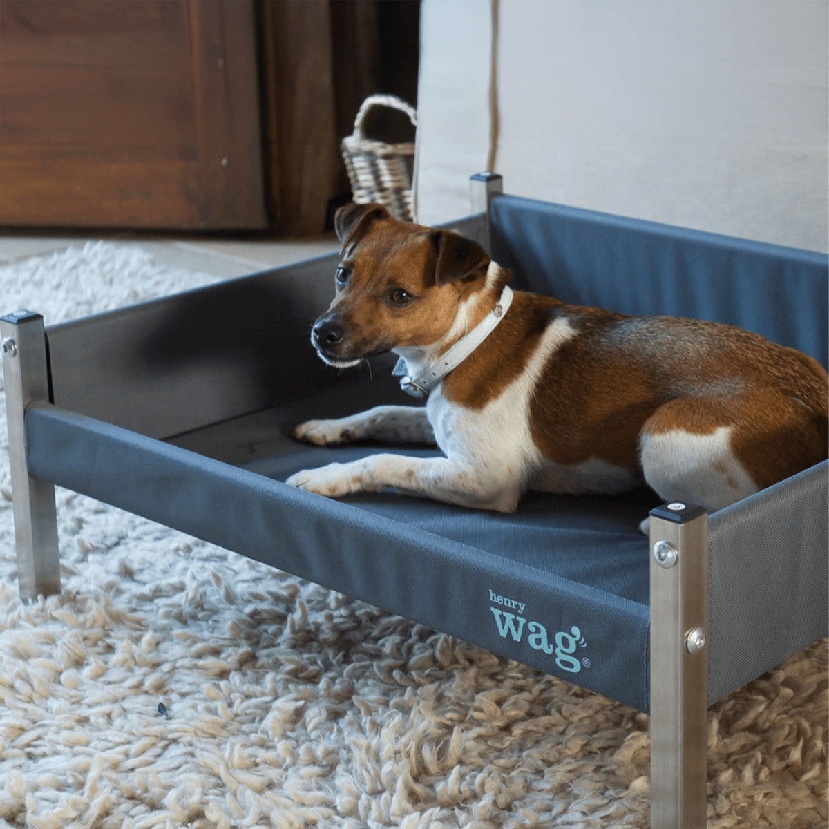 Henry Wag Elevated Pet bed