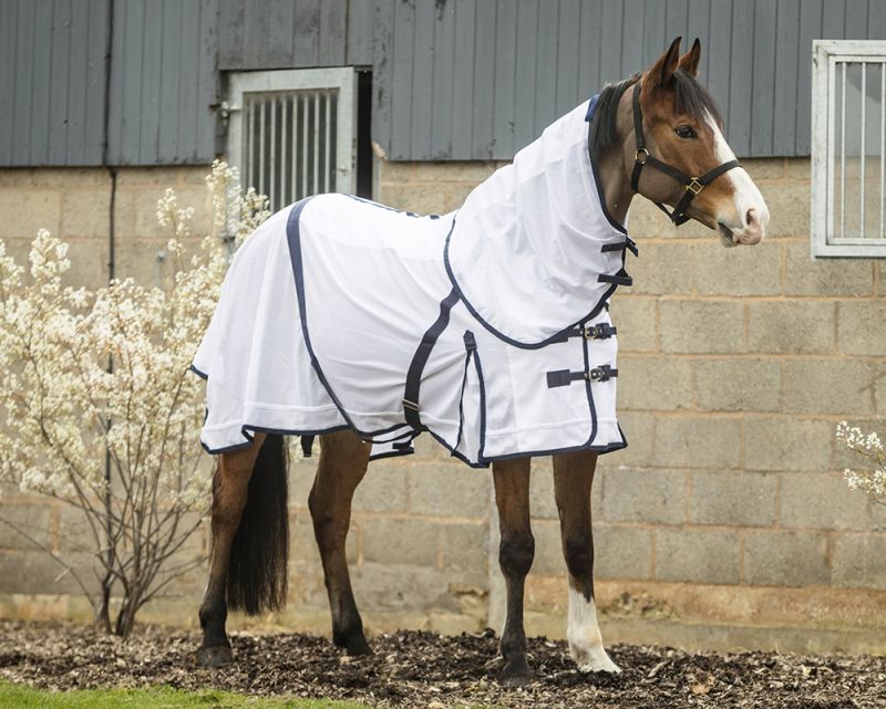 Rhinegold Fly Rug Supplied With Neck Cover