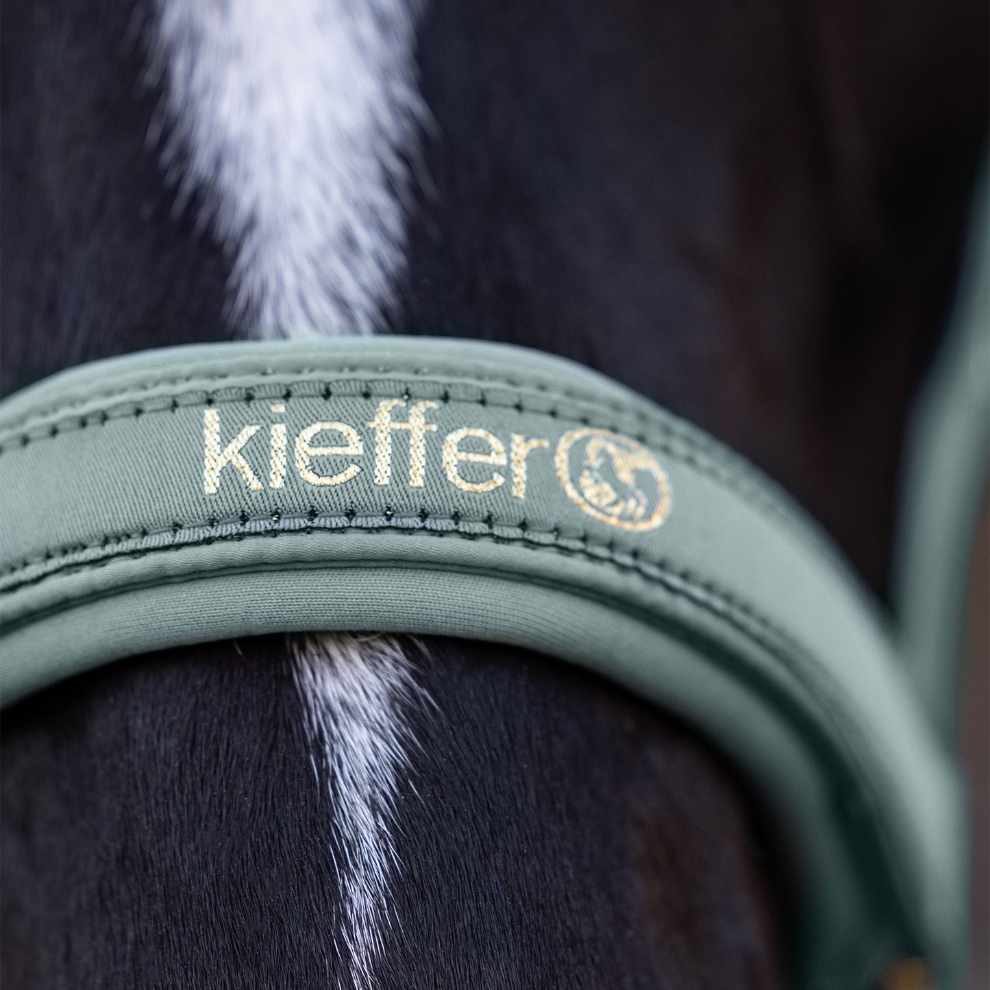 Kieffer Satin Shine Headcollar Mint