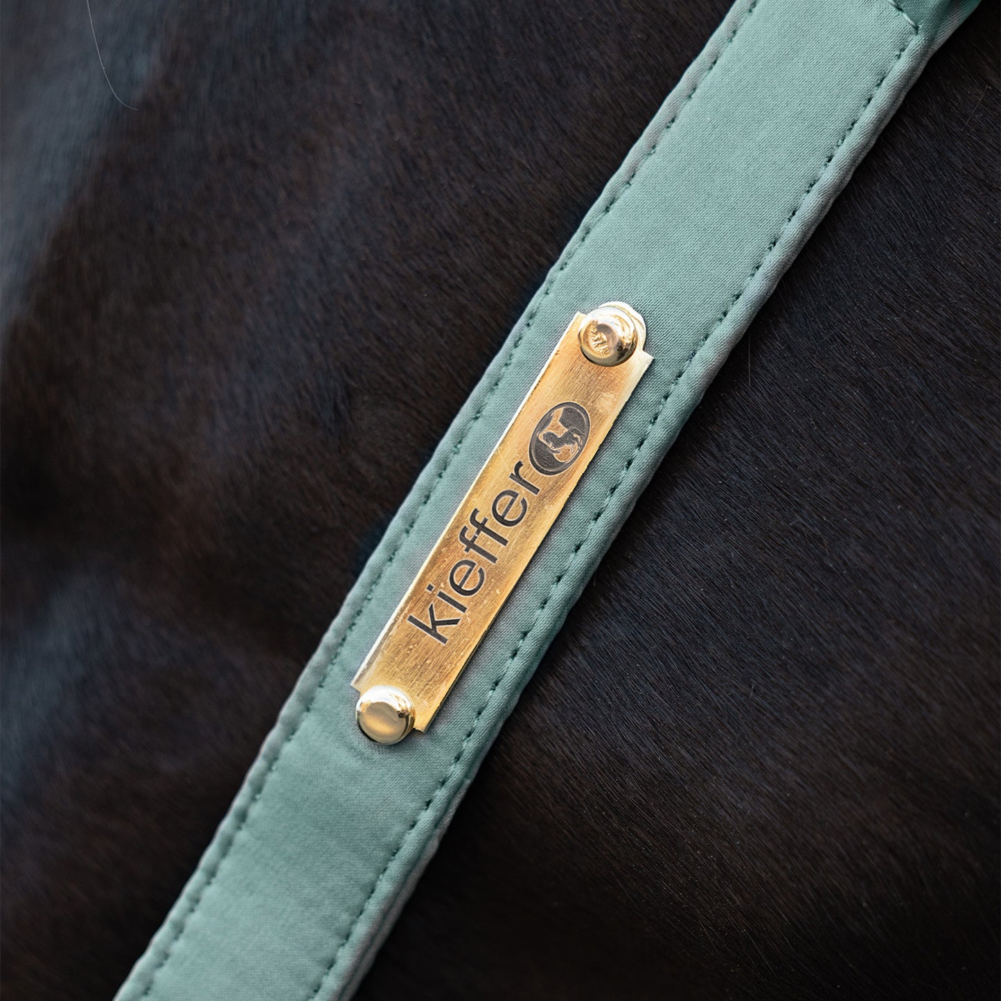 Kieffer Satin Shine Headcollar Mint