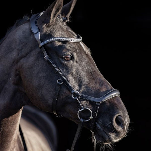 HV Polo Legacy Anatomical deluxe Bridle