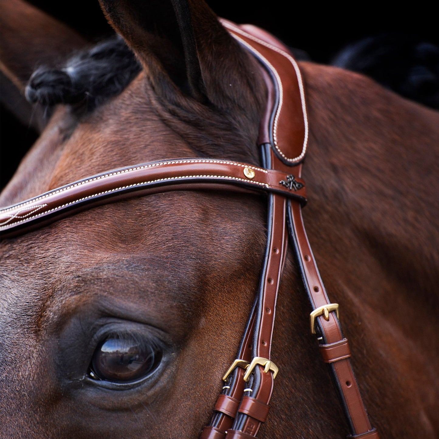 HV Polo Legacy Bridle