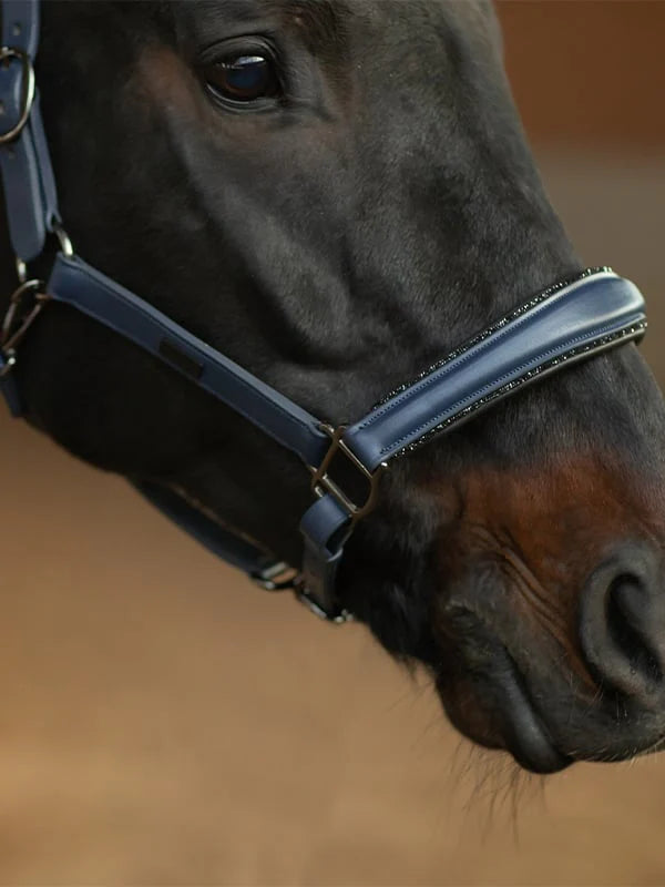 Equestrian Stockholm Dark Venice Leather Headcollar