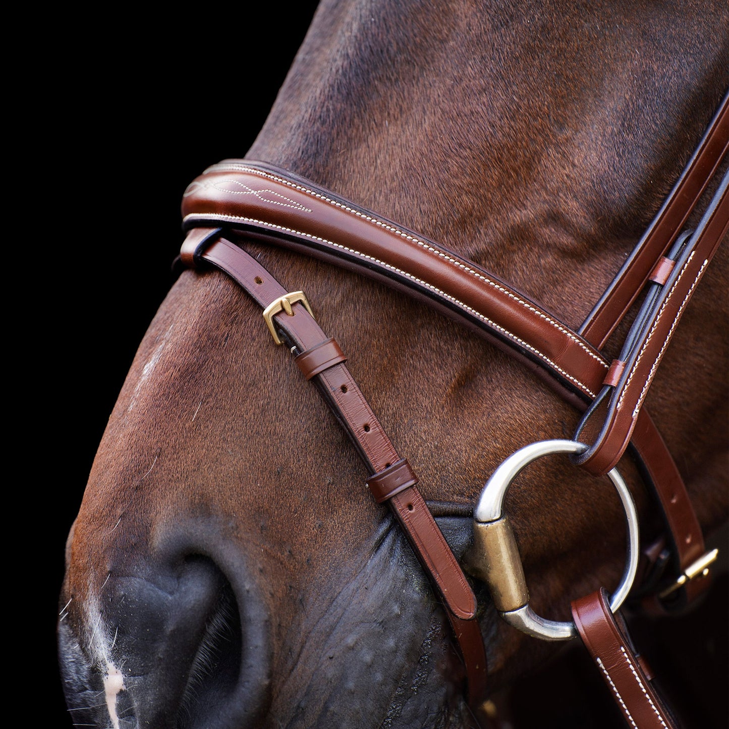 HV Polo Legacy Bridle