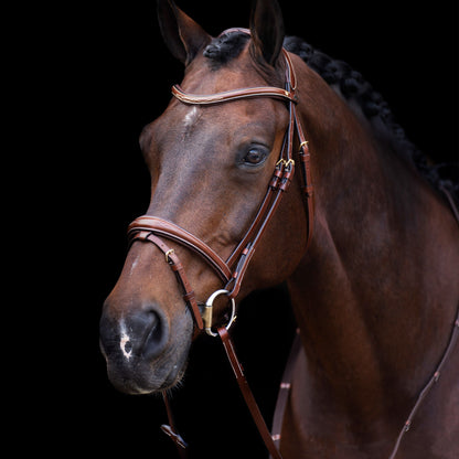 HV Polo Legacy Bridle