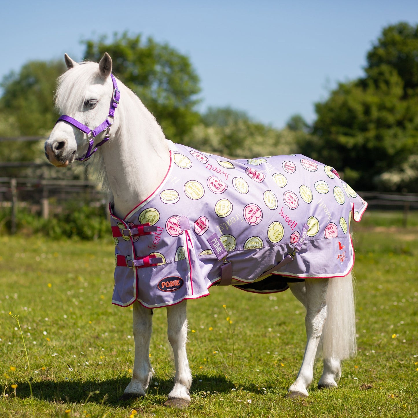 NEW Trojan Sweet Treats Lightweight Standard Neck Turnout Rug *PREORDER*