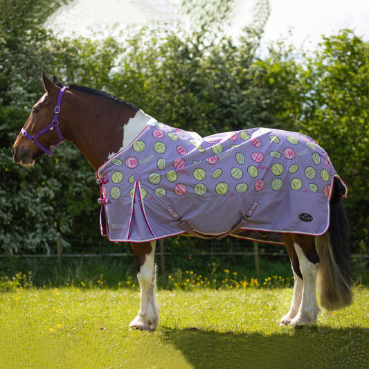 NEW Trojan Sweet Treats Lightweight Standard Neck Turnout Rug *PREORDER*