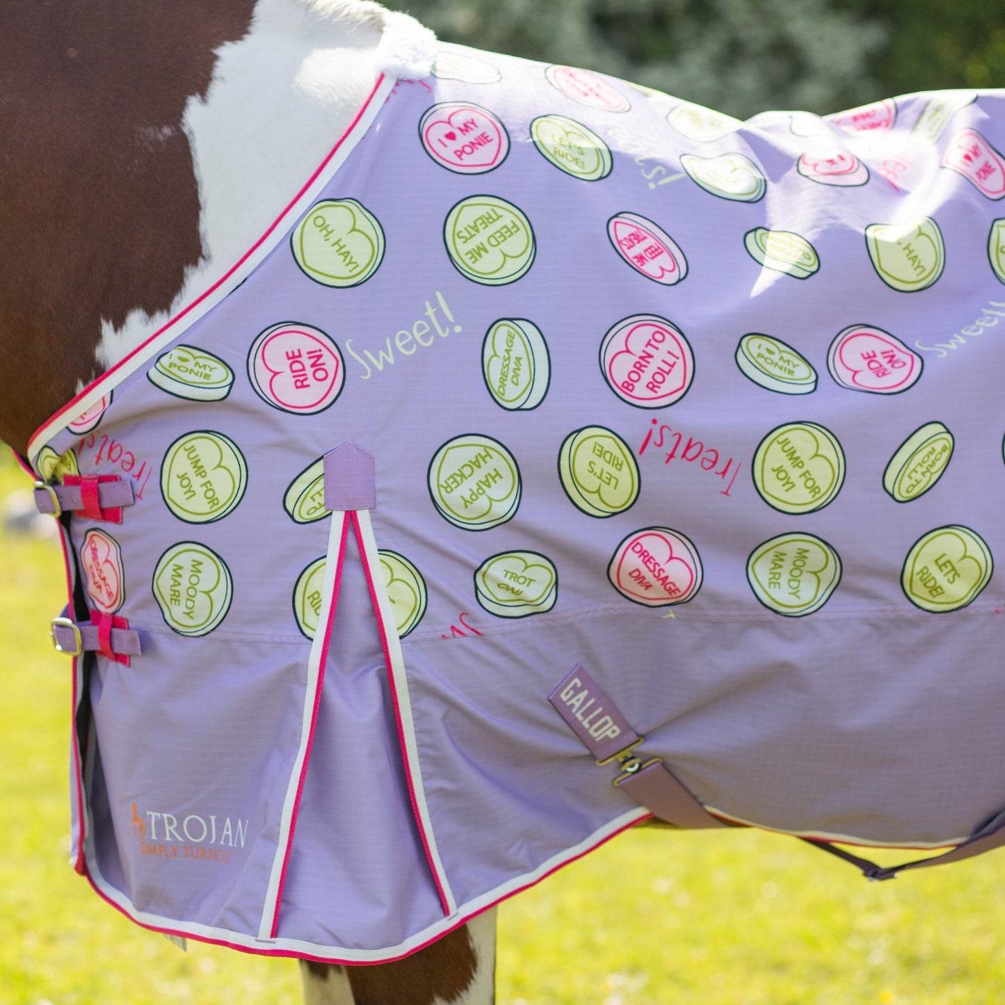 NEW Trojan Sweet Treats Lightweight Standard Neck Turnout Rug *PREORDER*