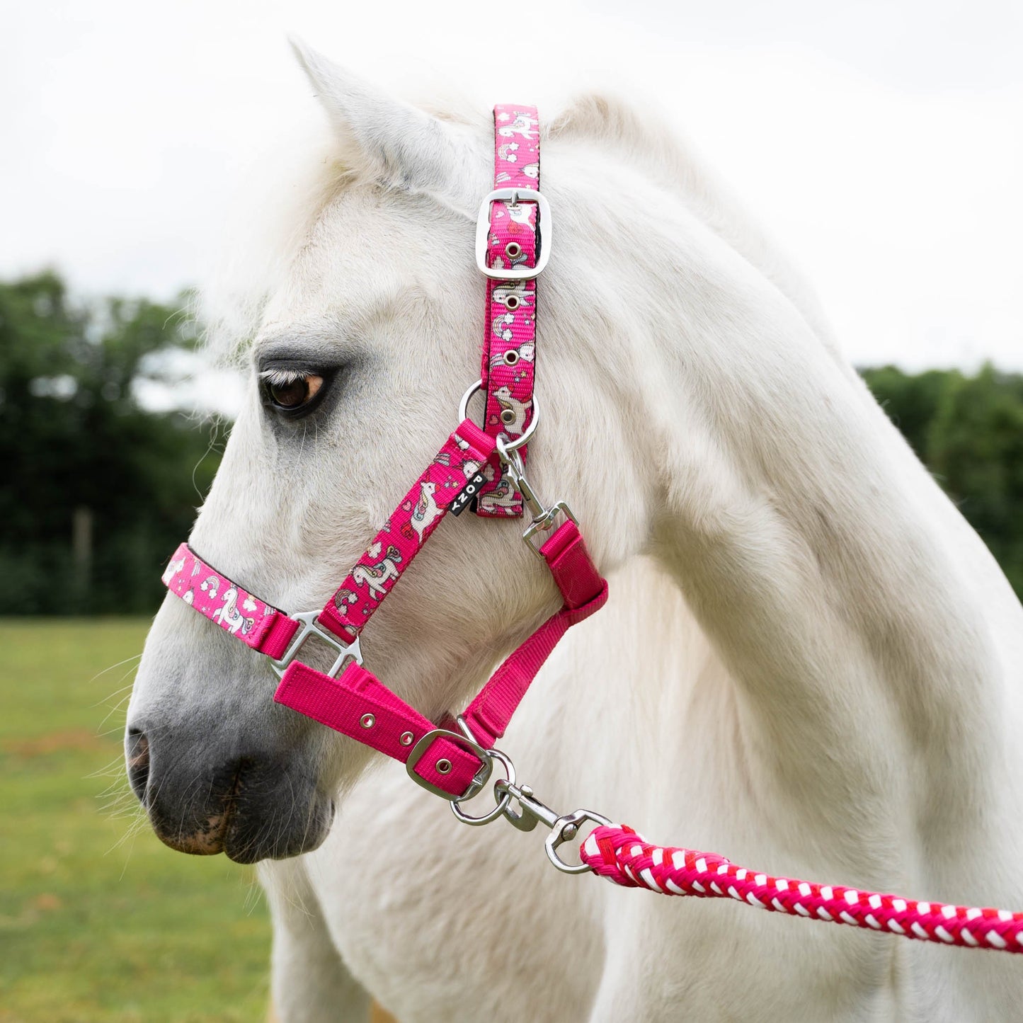 Unicorn Padded Head-collar with Multi Lead Set